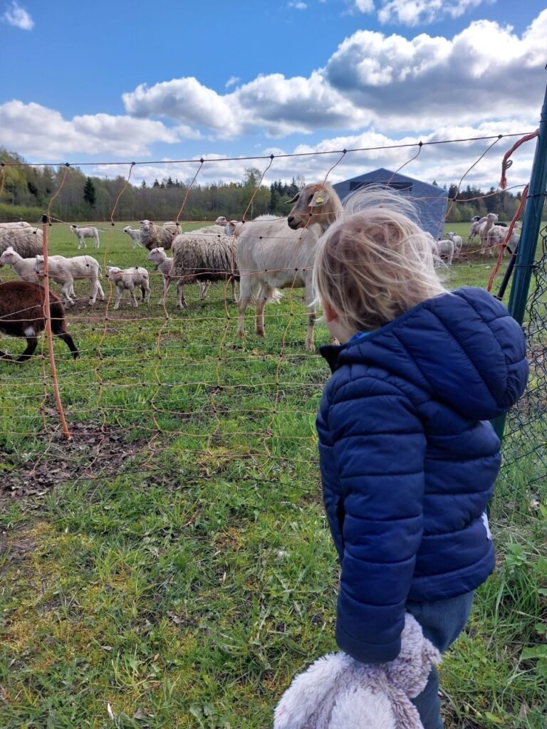 el nino mirando los animales en la granja