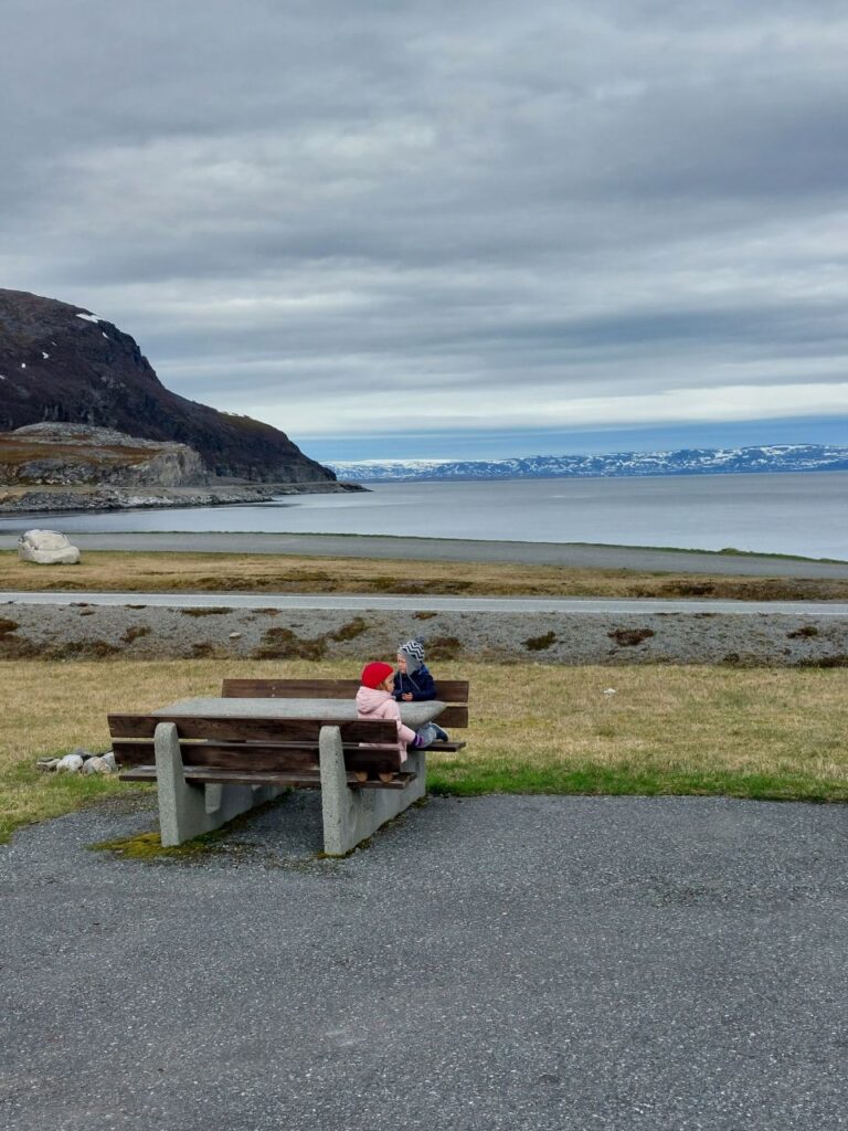 ninos en la mesa enfrente de fjiordo en noruega