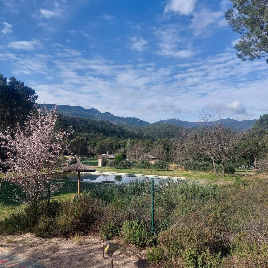 vista a la montana y bosque