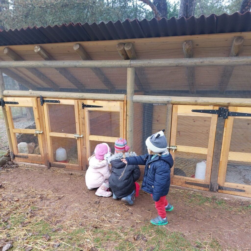 ninos mirando a los conejos en la granja en camping Vall de Camprodon