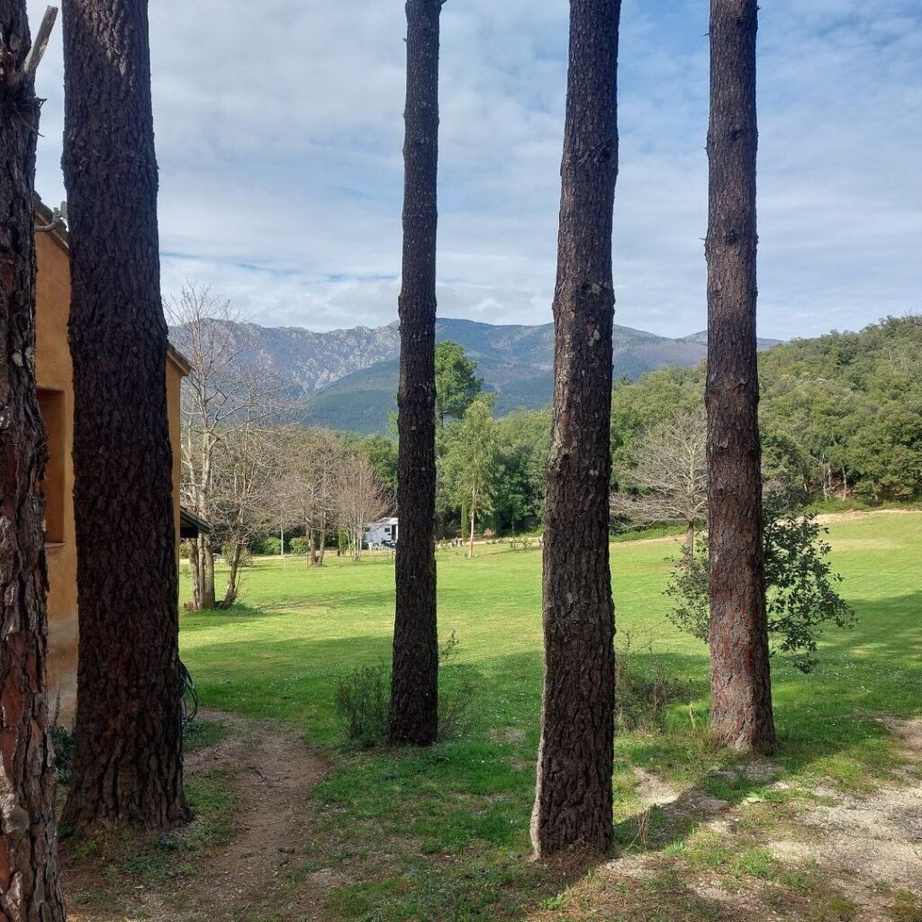 vista a la montana y arboles
