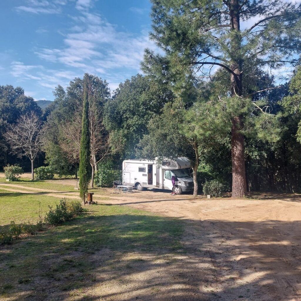 autocaravana aparcada entre arboles