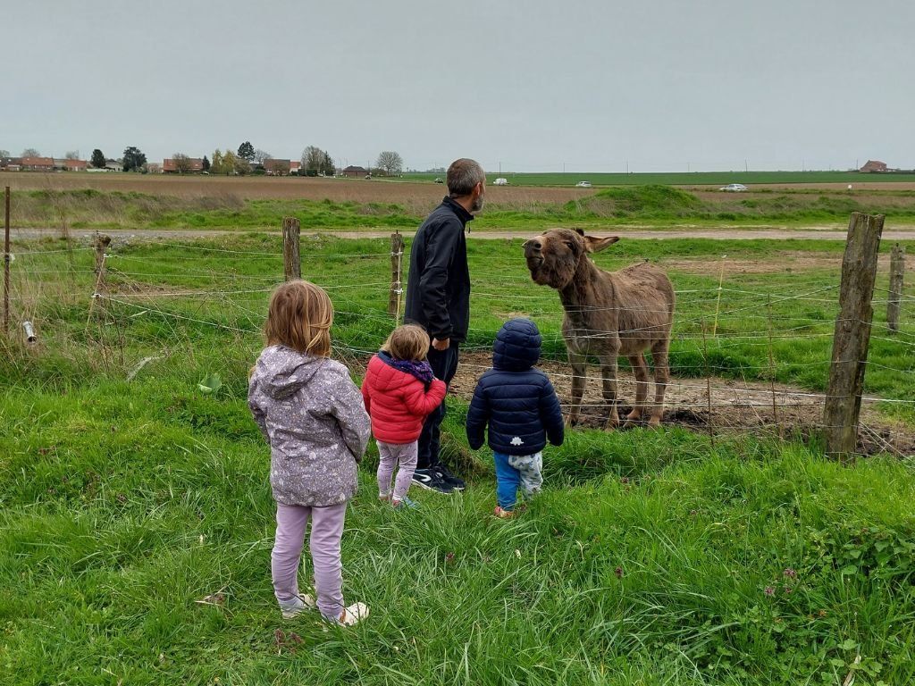 Un adulto con tres ninos y burro