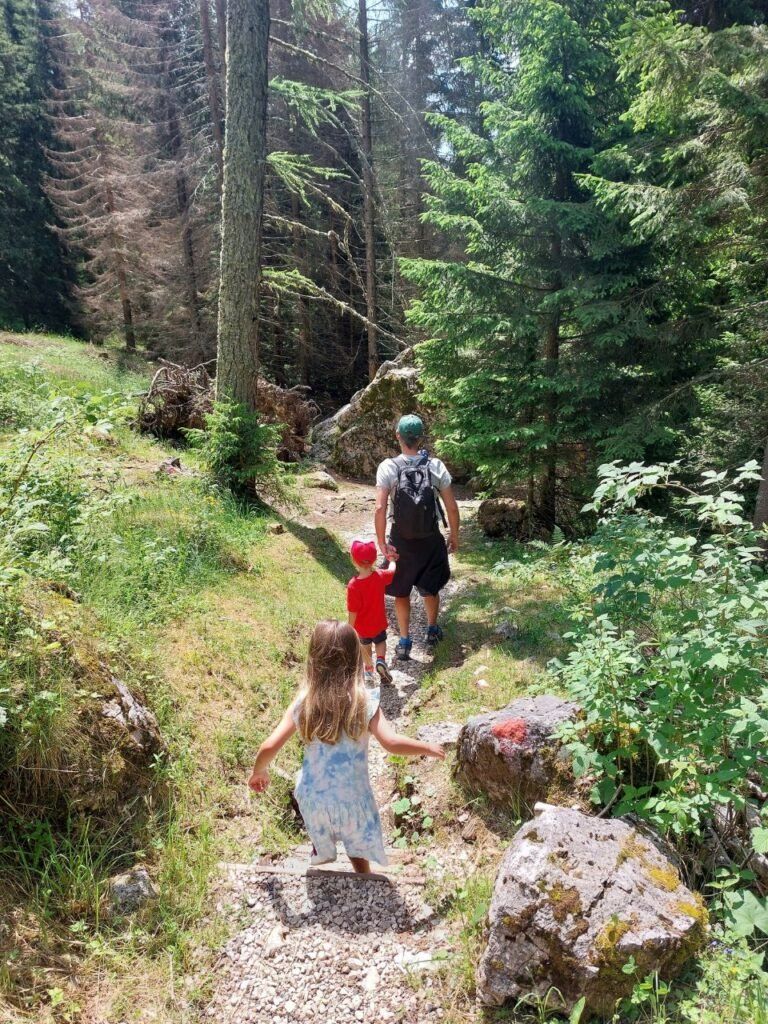 personas caminando por el bosque en dolomitas, italia