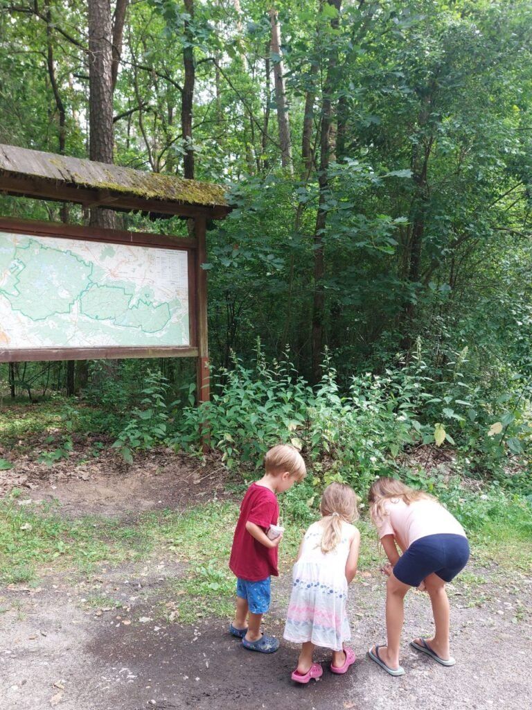 Ninos en el bosque